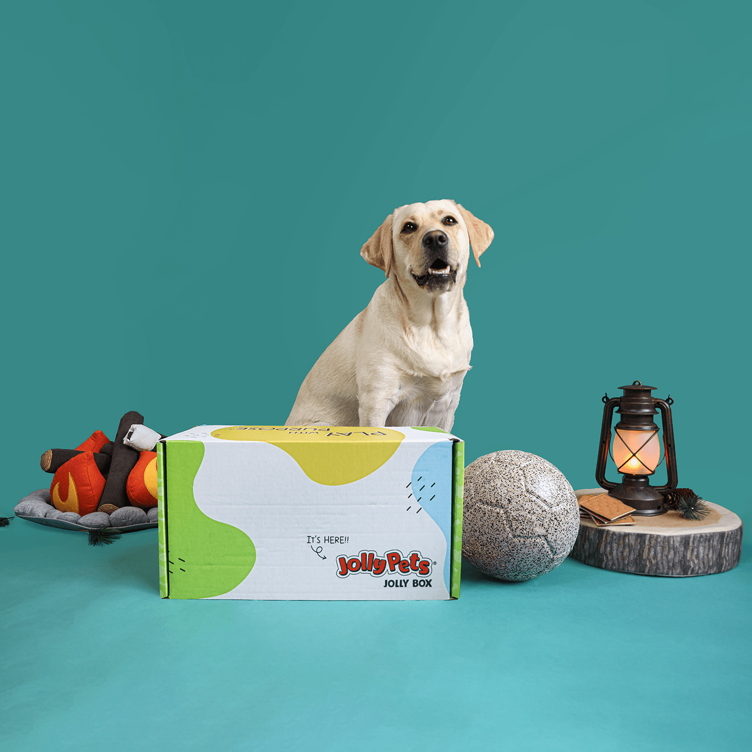 Jolly Box | Subscription Box - Jolly Pets