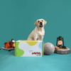 Jolly Box