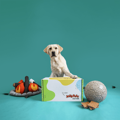 Jolly Box