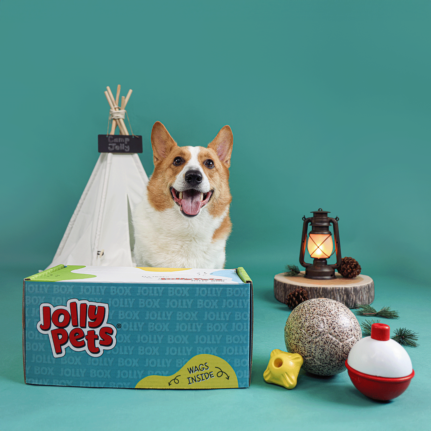 Jolly Box Subscription Box Jolly Pets