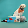 Jolly Box