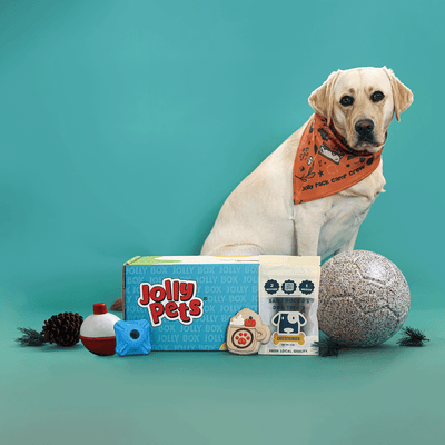 Jolly Box