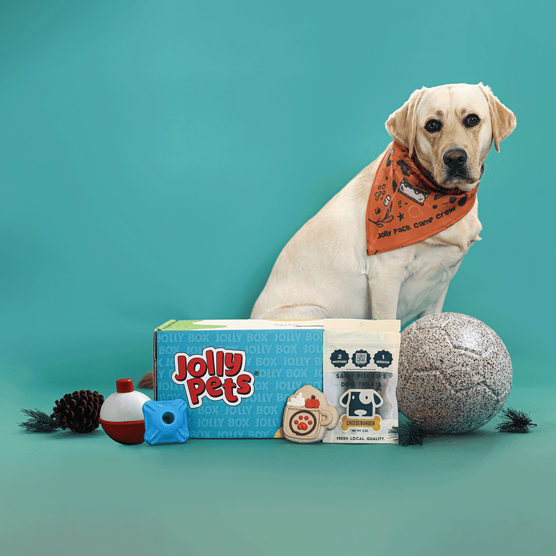 Jolly Box