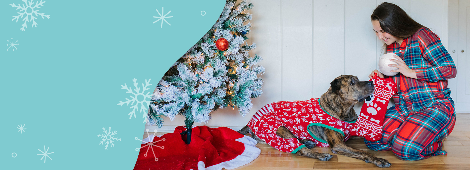 jolly pets black friday cyber monday sale header (2).png__PID:ad152918-5e3b-4767-a23e-072f45b059e1