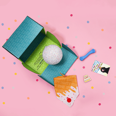 Jolly Bash Box