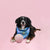 jolly bean soccer ball jolly pets lifestyle image