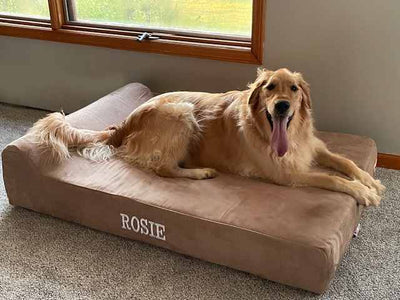 Big Barker Orthopedic Dog Bed