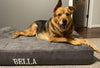 7" Orthopedic Dog Bed