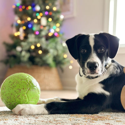 Merry Mischief Jolly Soccer Ball