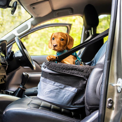 Car Booster Seat