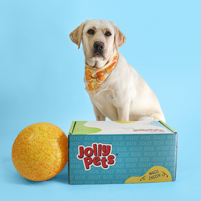 a dog sitting behind a jolly box and a jolly soccer balls