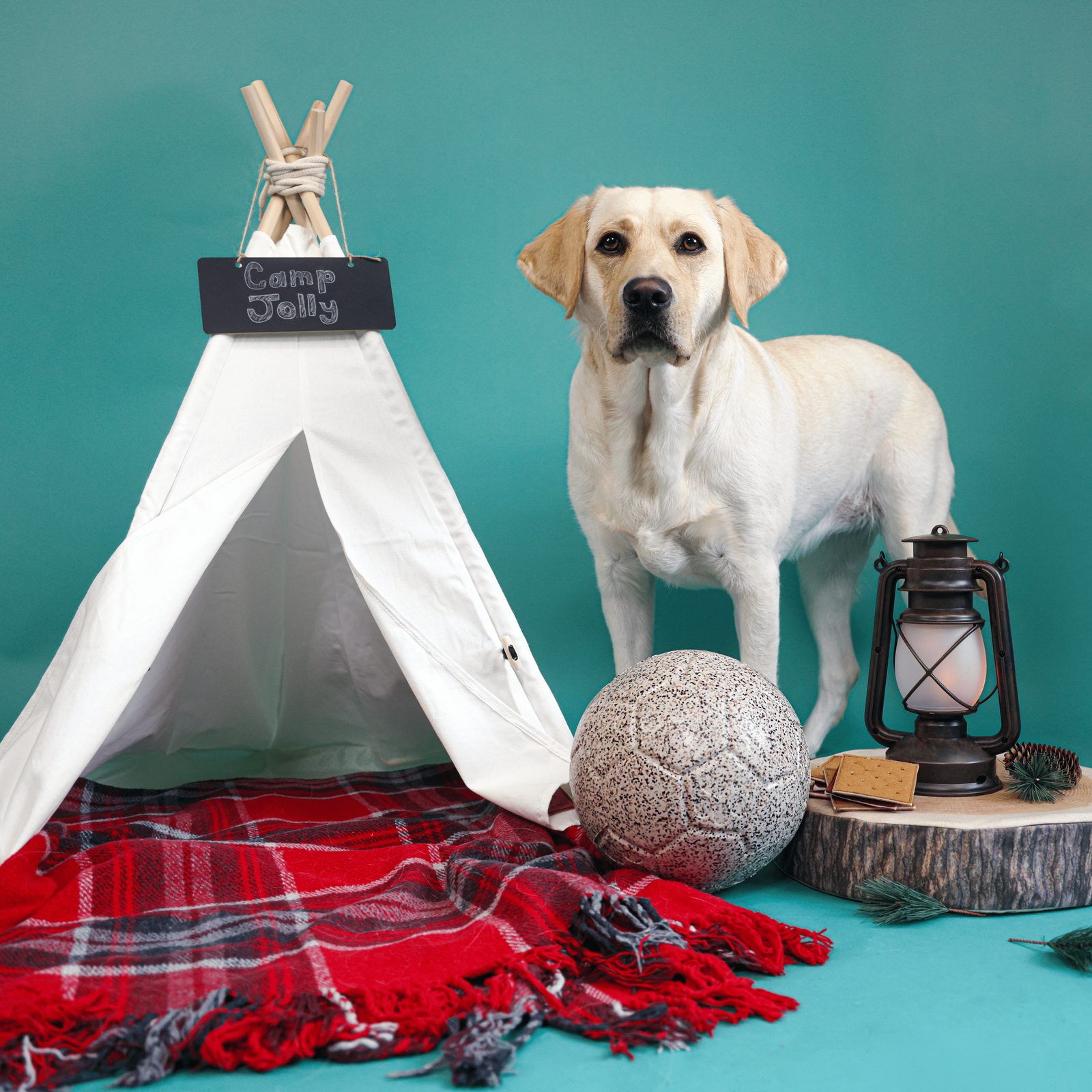 S'mores Jolly Soccer Ball