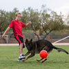 Child and Dog playing with Orange Jolly Soccer Ball
