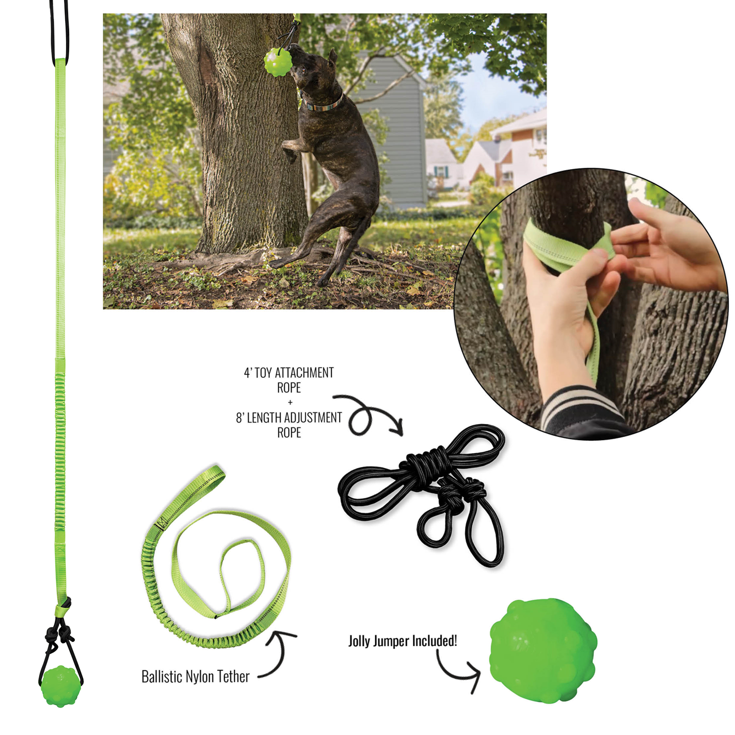 Tree Tugger Tug Dog Toy Jolly Pets