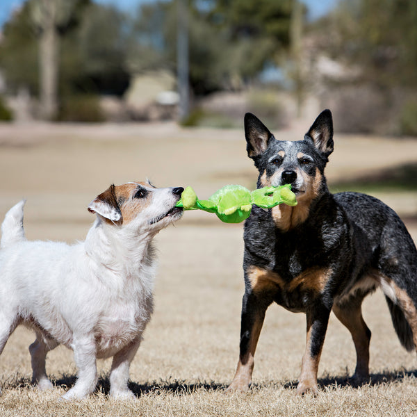 PawBall™ Tug dog Toy – Paw Roll