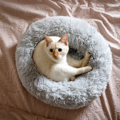 Cat sitting in Grey Plush Donut Cat Bed